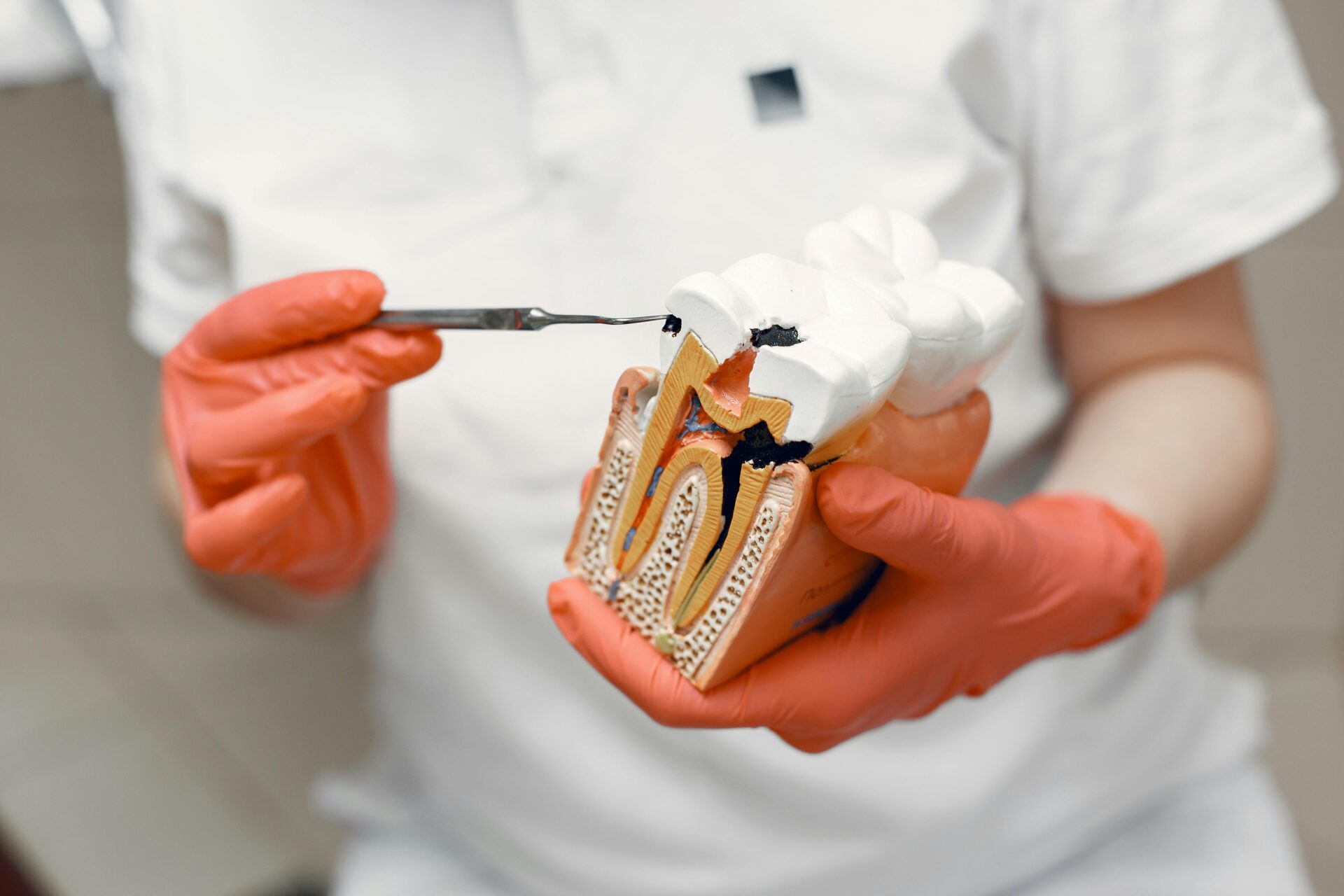 Especialidades | Dentisteria